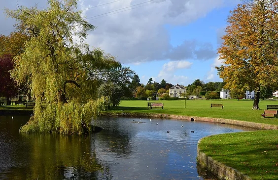 godstone pond