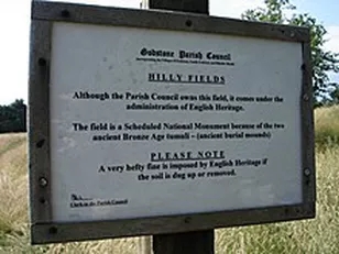 hilly fields