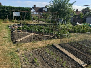 tilled soil